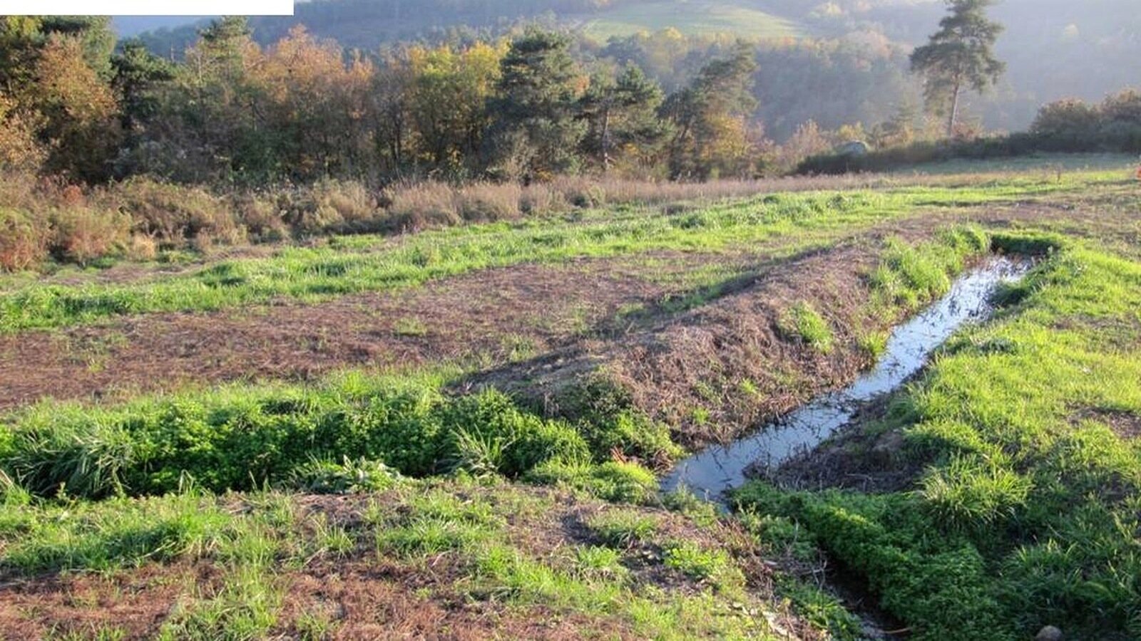 Дренажный колодец после септика: почему вода перестаёт уходить